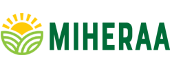 Miheraa - Millet Manufacturer 